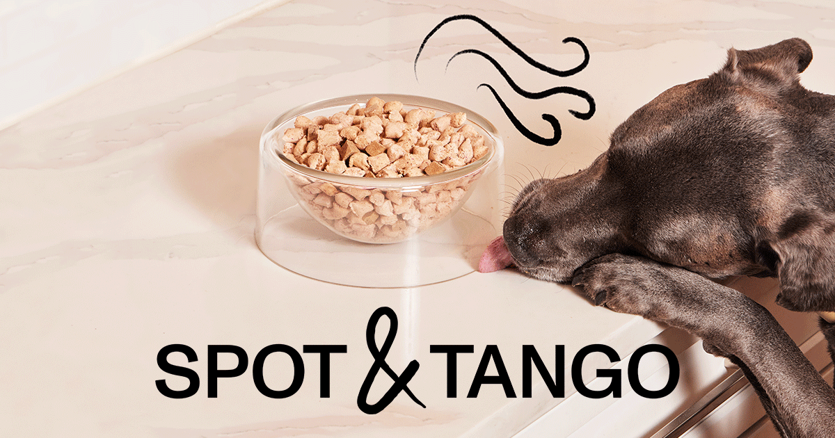spotandtango