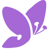 AnswersNow Inc