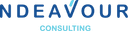 NDEAVOUR CONSULTING