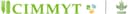 CIMMYT