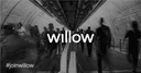 Willow
